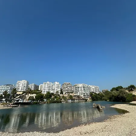 River View Alfa